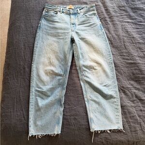 Madewell The Darted Barrel-Leg Jean in Edmonson Wash